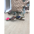 colourclip alligator 'Confetti Party'