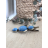 colourclip alligator 'Blue'