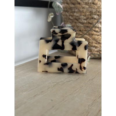 haarklem leopard 