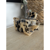 haarklem leopard 