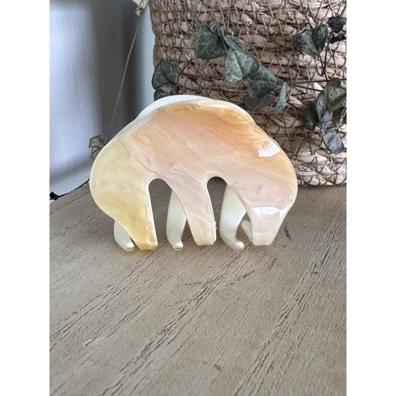 haarklem -shell sunset-